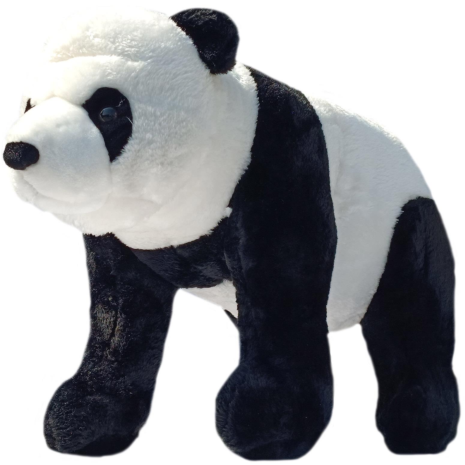 standing panda