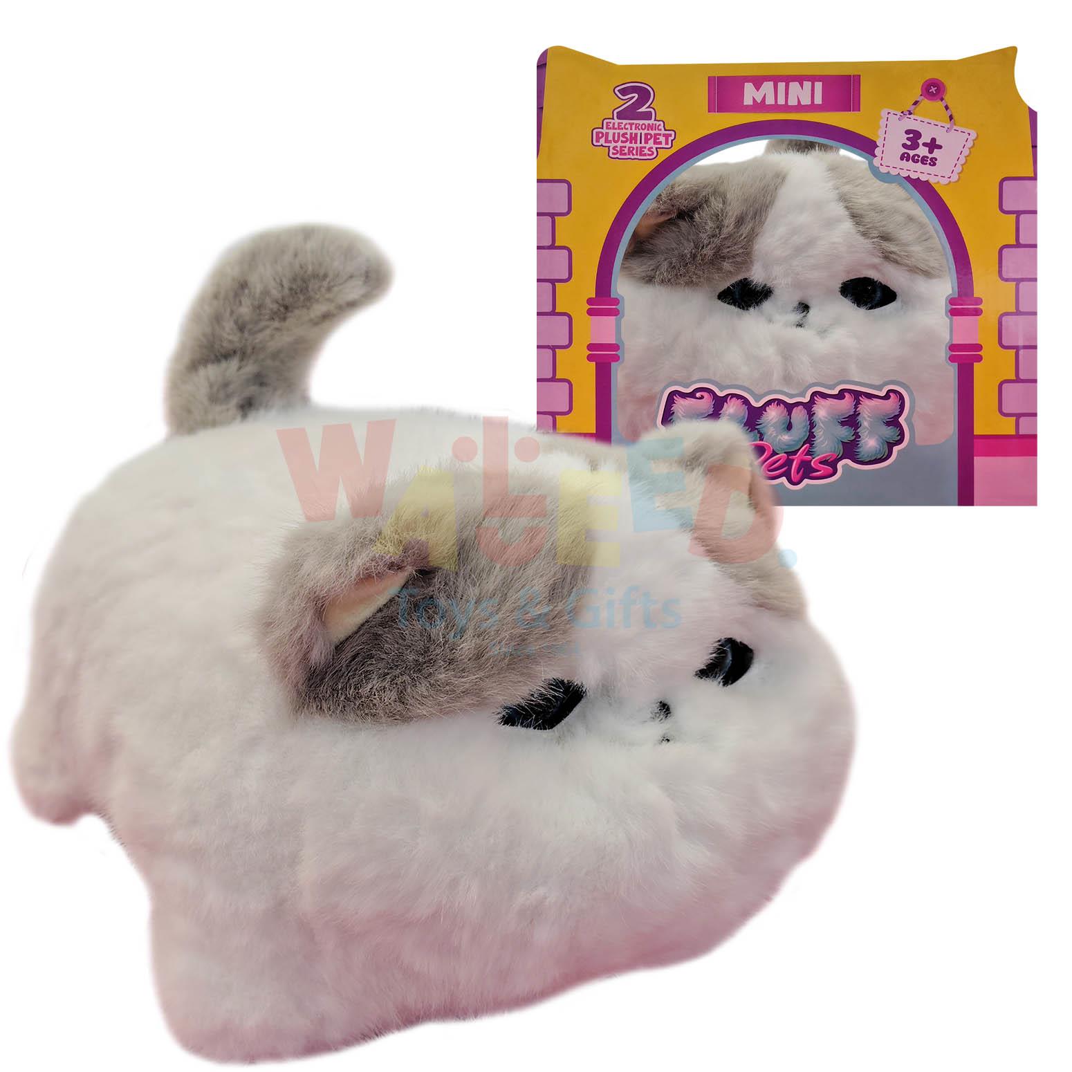 Fluffy Pet